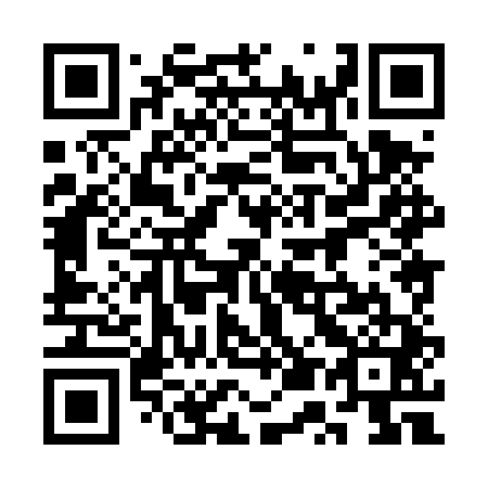 QR code for plate 3U8-4T1