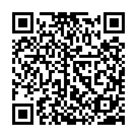 QR code for plate 3V2-5W1