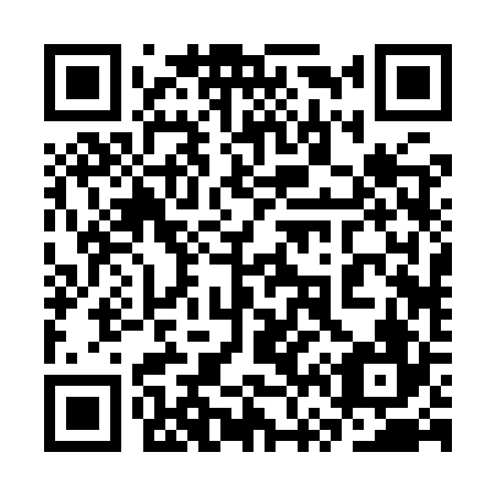 QR code for plate 3V2-9R6