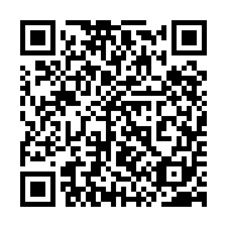 QR code for plate 3V3-1E1