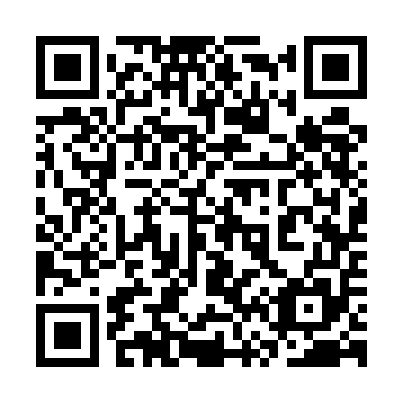 QR code for plate 3V3-5E5