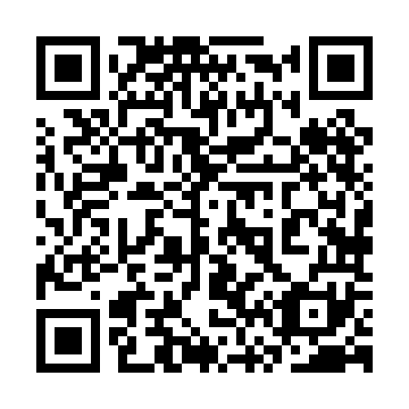 QR code for plate 3V8-0O1