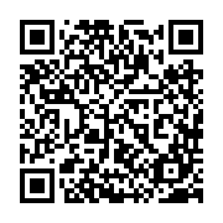 QR code for plate 3V8-2T4