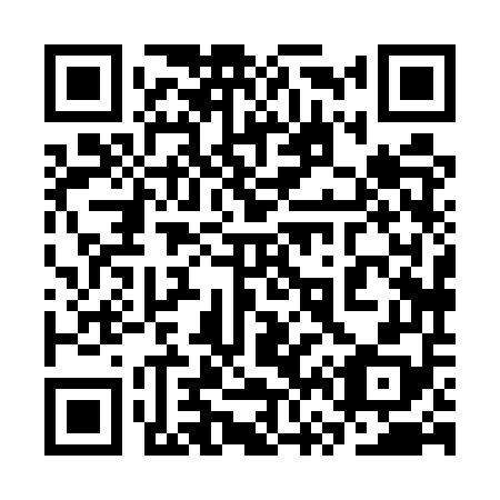 QR code for plate 3V8-5U8