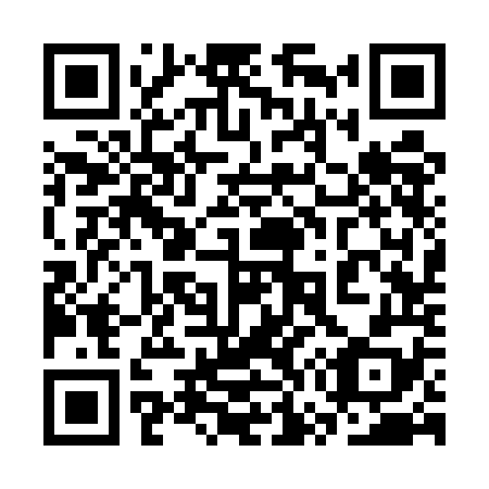 QR code for plate 3W3-5O8