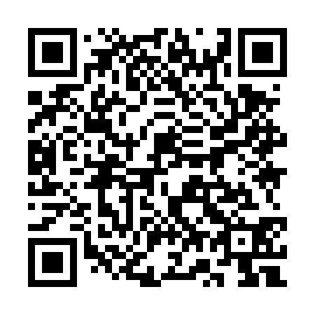QR code for plate 3W9-4S0