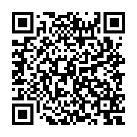 QR code for plate 3X8-1Z5