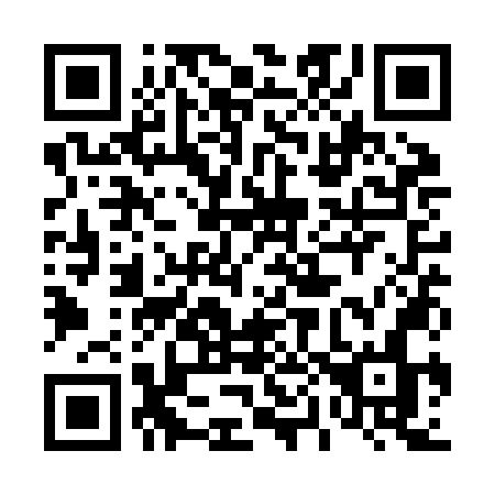 QR code for plate 401-ZNN