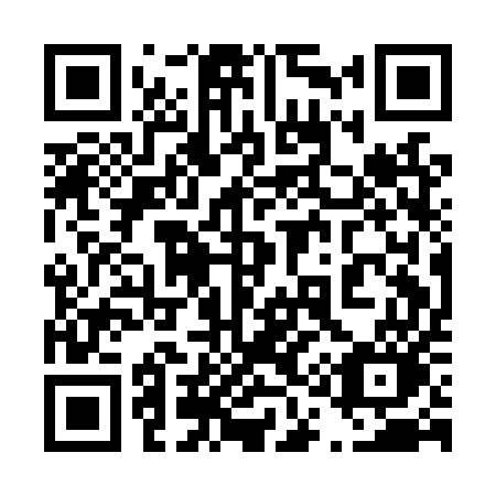 QR code for 411-LUO