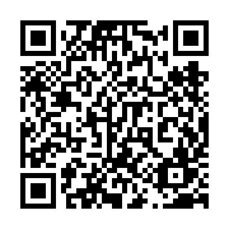 QR code for 411-VIV