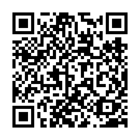 QR code for 411-VIY