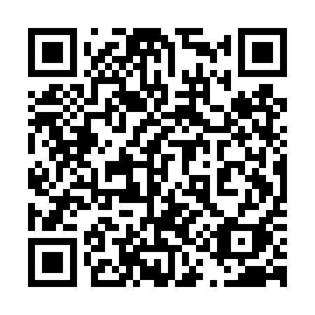 QR code for 411DQI