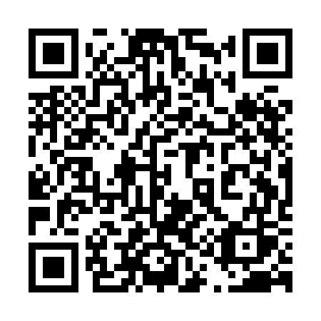 QR code for plate 411-HGS