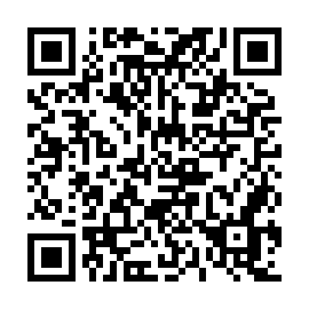 QR code for plate 411-HON