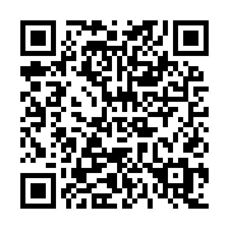 QR code for plate 411-ITM