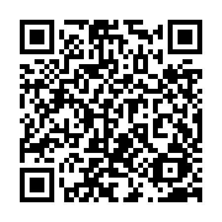 QR code for plate 411-JZJ
