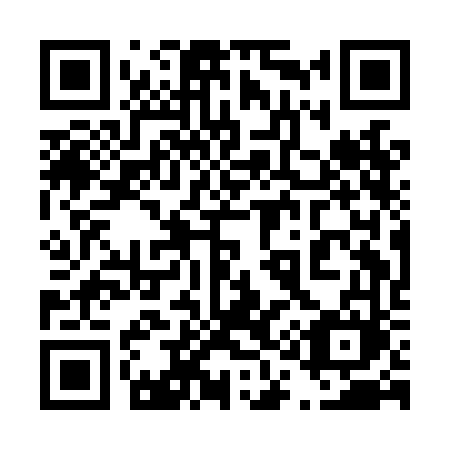 QR code for plate 411-LFM