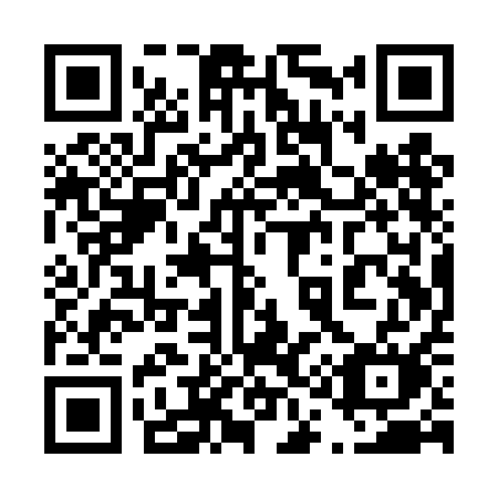 QR code for plate 411-TAM