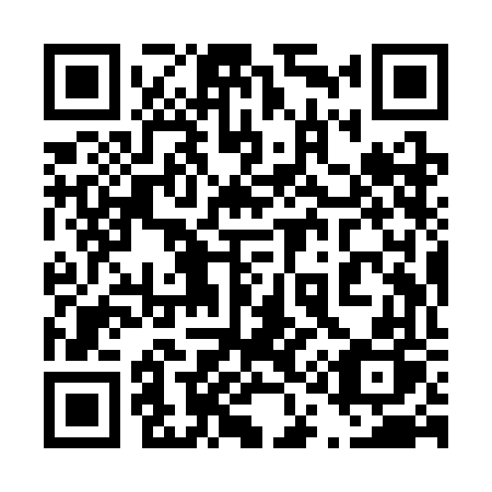 QR code for 419-SFP