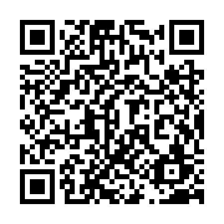 QR code for 419-SSV