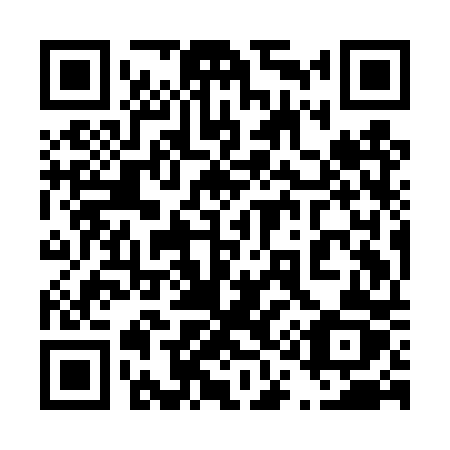 QR code for 419DPZ