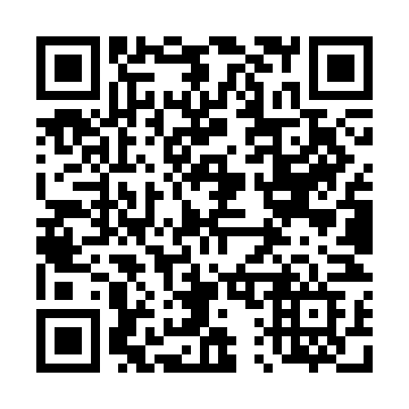QR code for plate 419-SNF