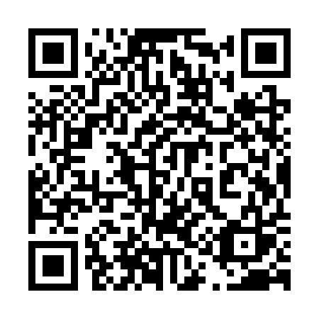 QR code for plate 419-SQS