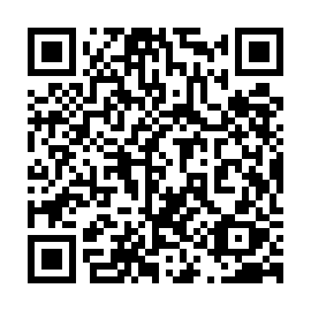 QR code for plate 419-UBX