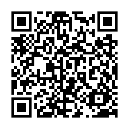 QR code for plate 419-WRO