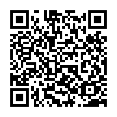 QR code for 425-LIU