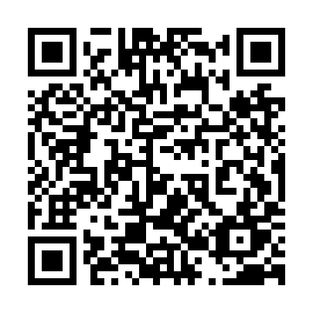 QR code for 425-NYT
