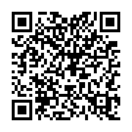 QR code for 438-WEI