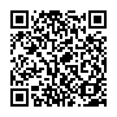 QR code for 439IPI