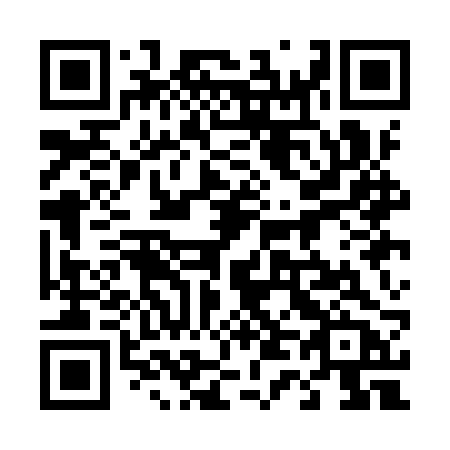 QR code for 441-IRB