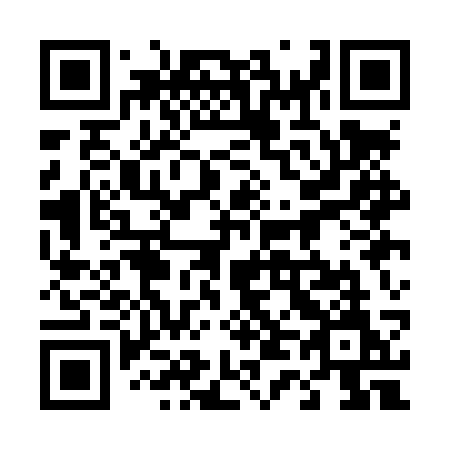 QR code for 441-LSM