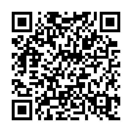 QR code for 449-CZG