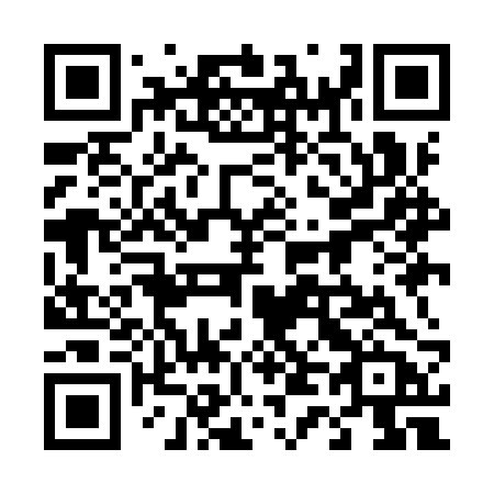 QR code for 449IRB