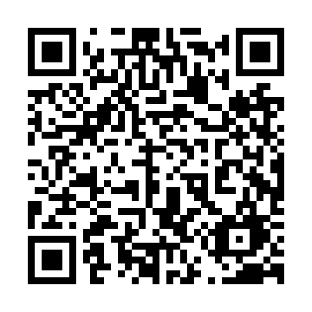 QR code for plate 450-NSG