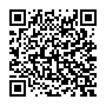 QR code for plate 450-SNS