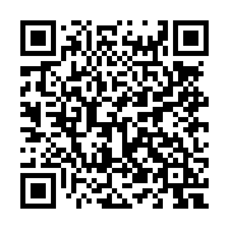 QR code for 451-LZJ