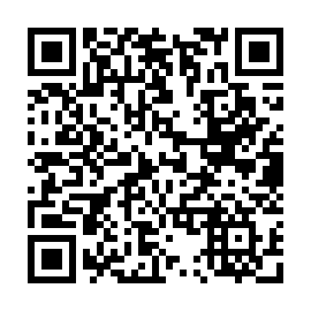QR code for plate 453-WSW