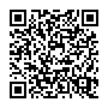 QR code for 460NFT