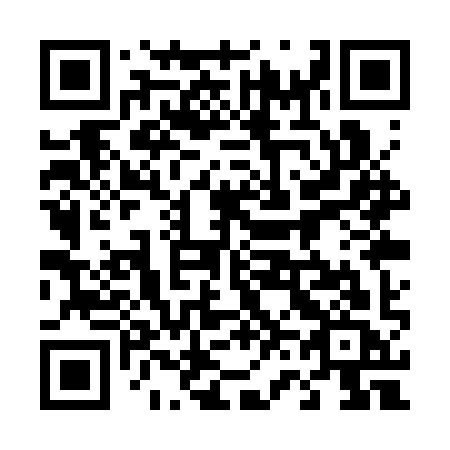 QR code for 461-SYC