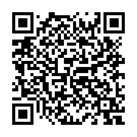 QR code for plate 461-JYQ