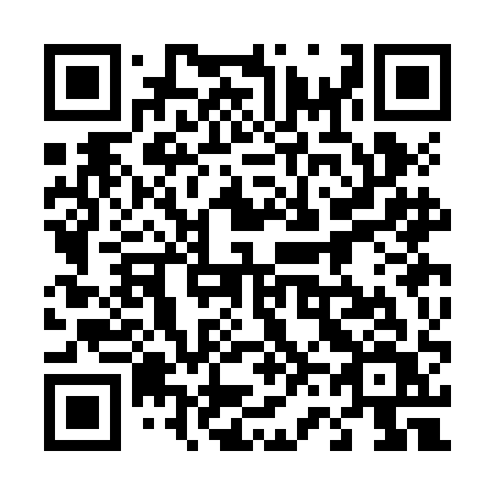 QR code for 463-JAV