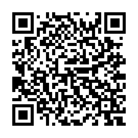 QR code for 463-PNZ