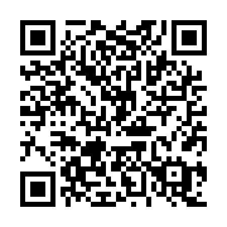 QR code for 463-QFE