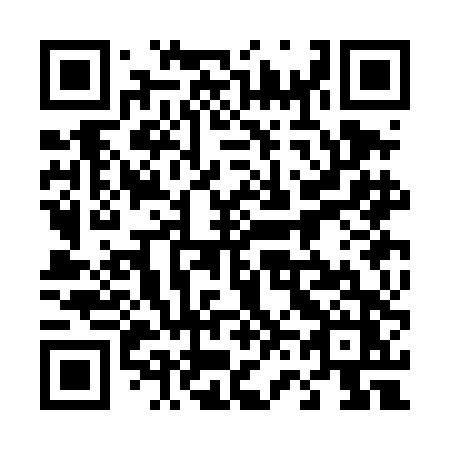QR code for plate 463-DDZ