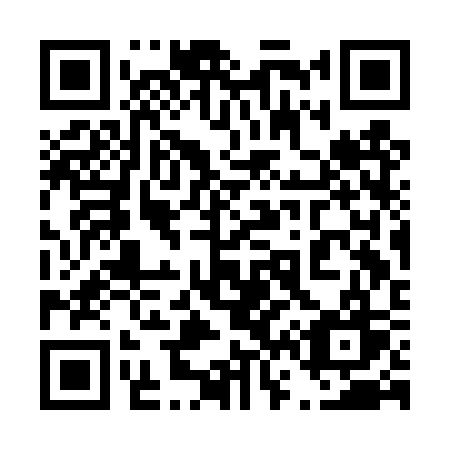 QR code for plate 463-DSW