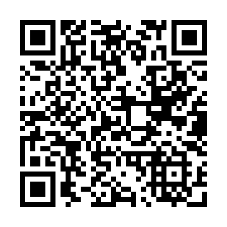 QR code for plate 463-SYK